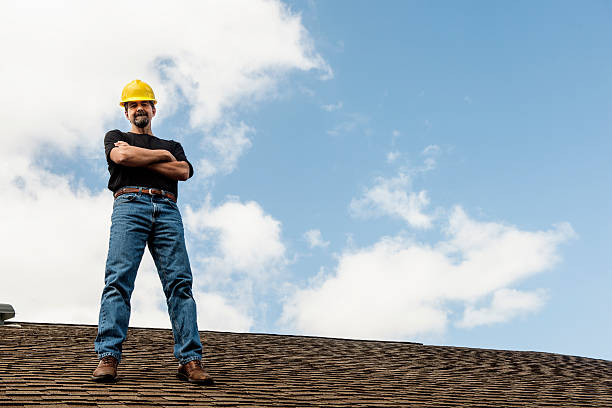 Best Roof Gutter Cleaning  in Clifton, IL