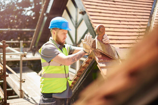 Best Roof Gutter Cleaning  in Clifton, IL